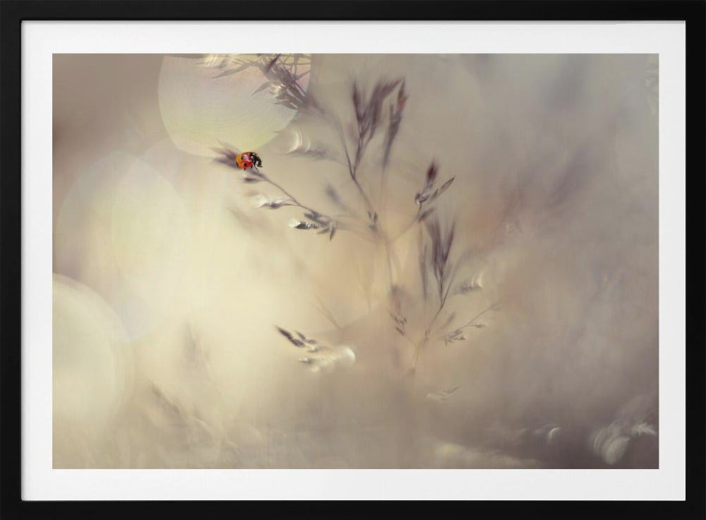 Kleine Dame | Poster