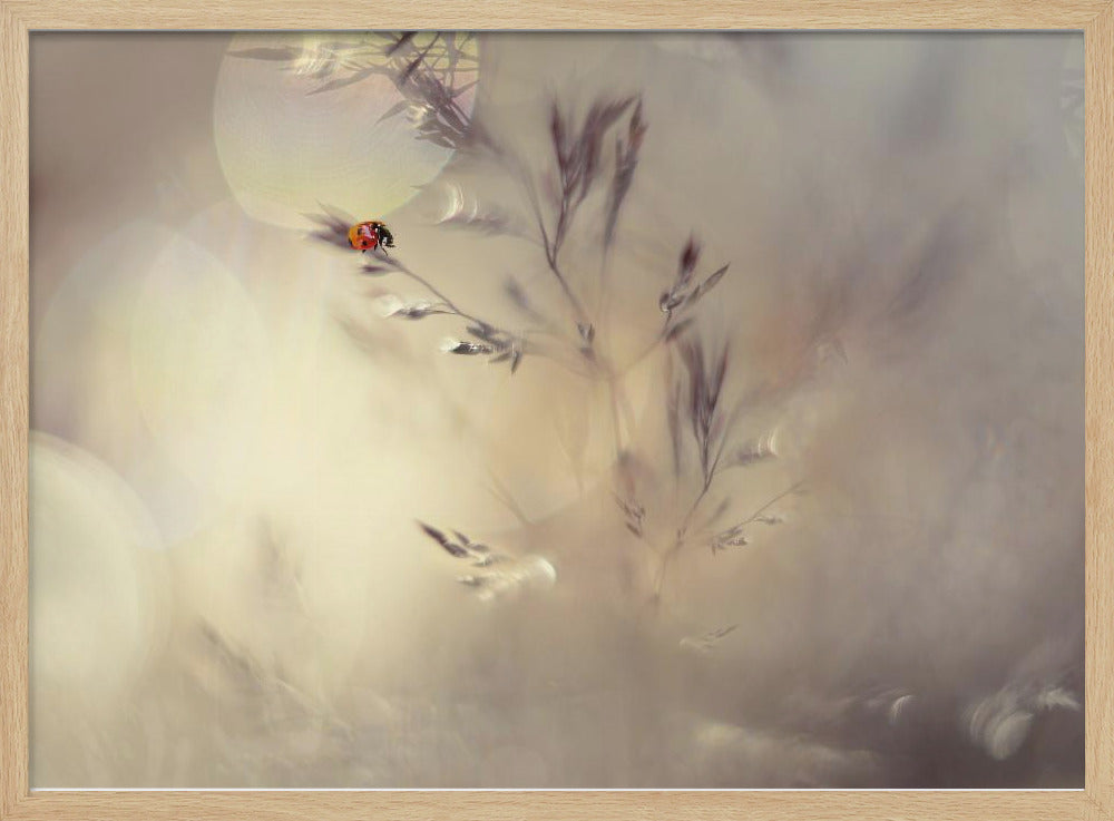 Kleine Dame | Poster