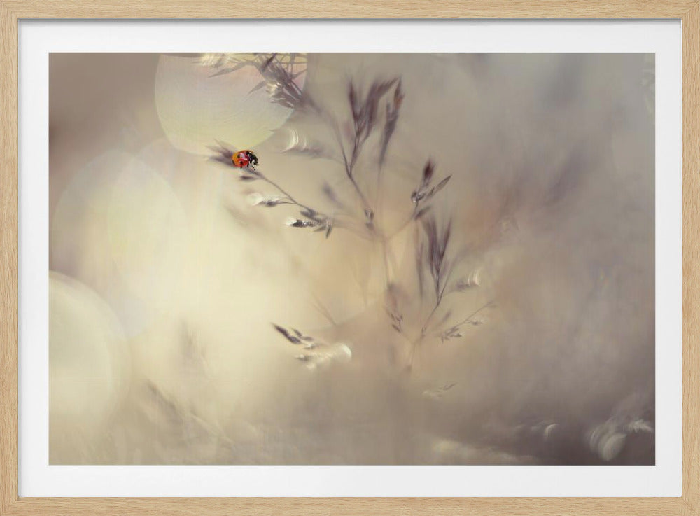 Kleine Dame | Poster