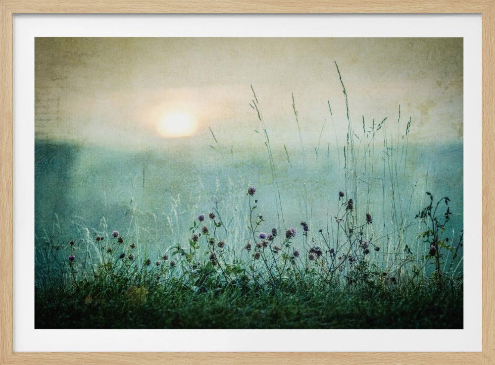 Herbstsonnenaufgang | Poster