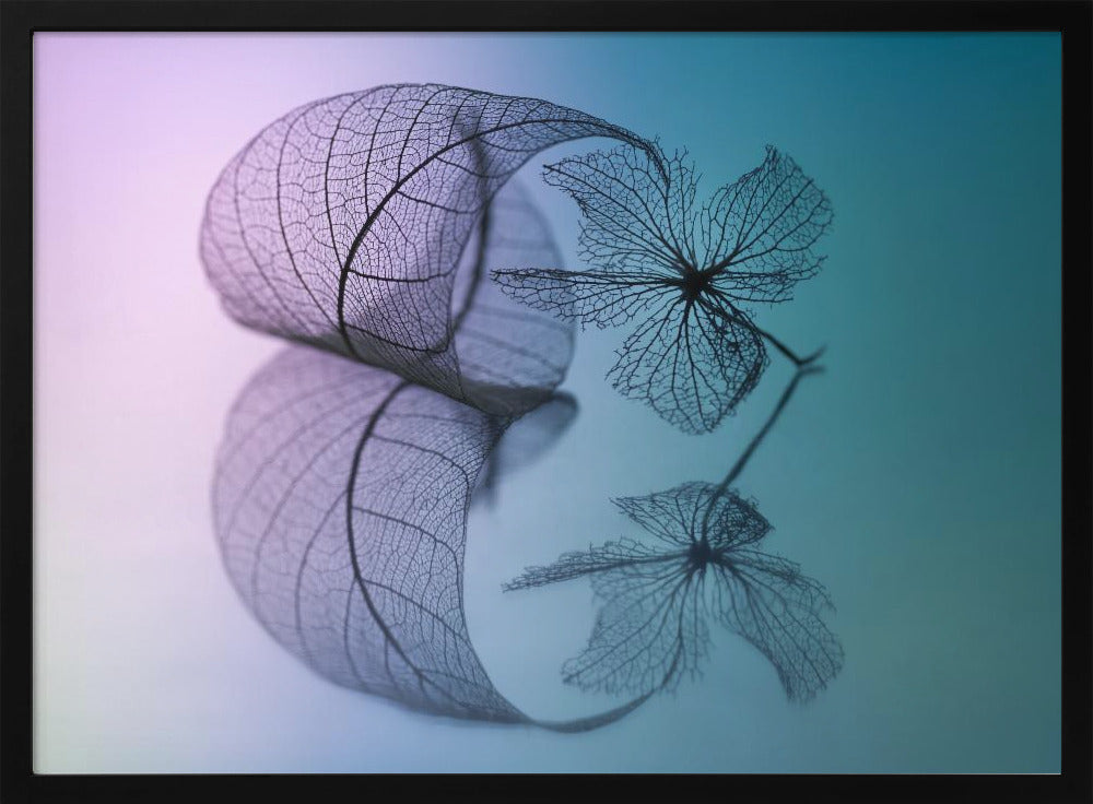 Geschichte von Blatt und Blume | Poster