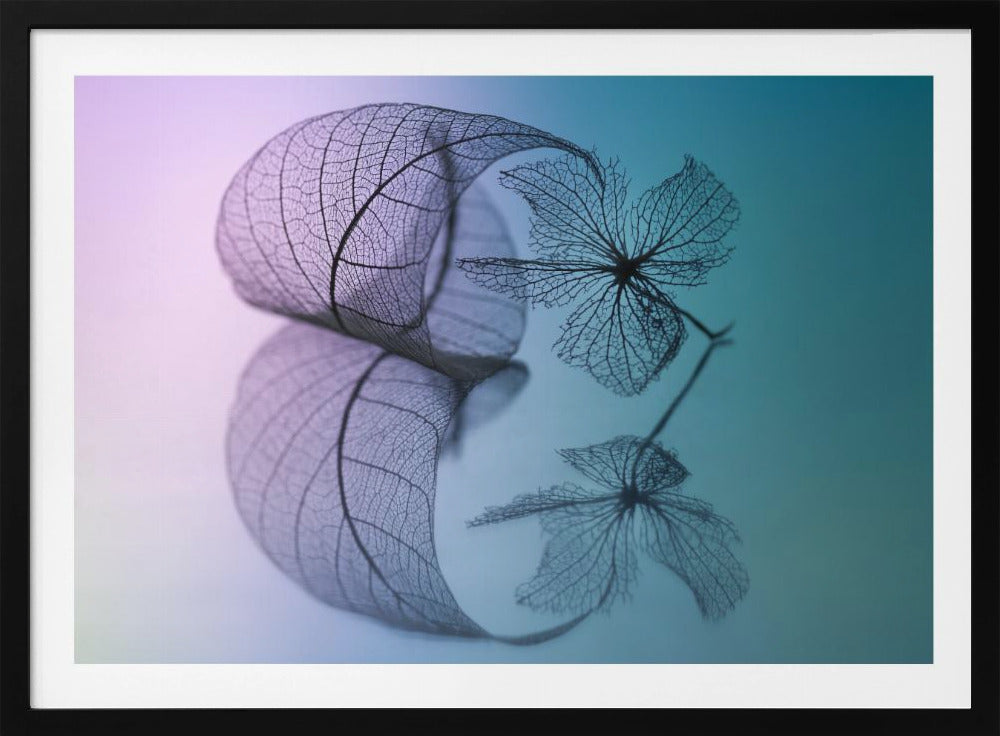 Geschichte von Blatt und Blume | Poster