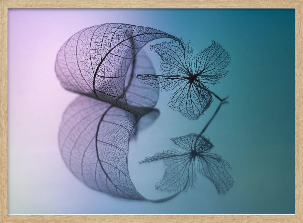 Geschichte von Blatt und Blume | Poster