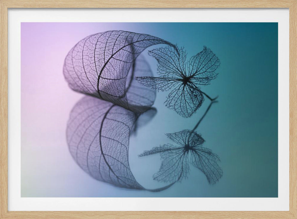 Geschichte von Blatt und Blume | Poster