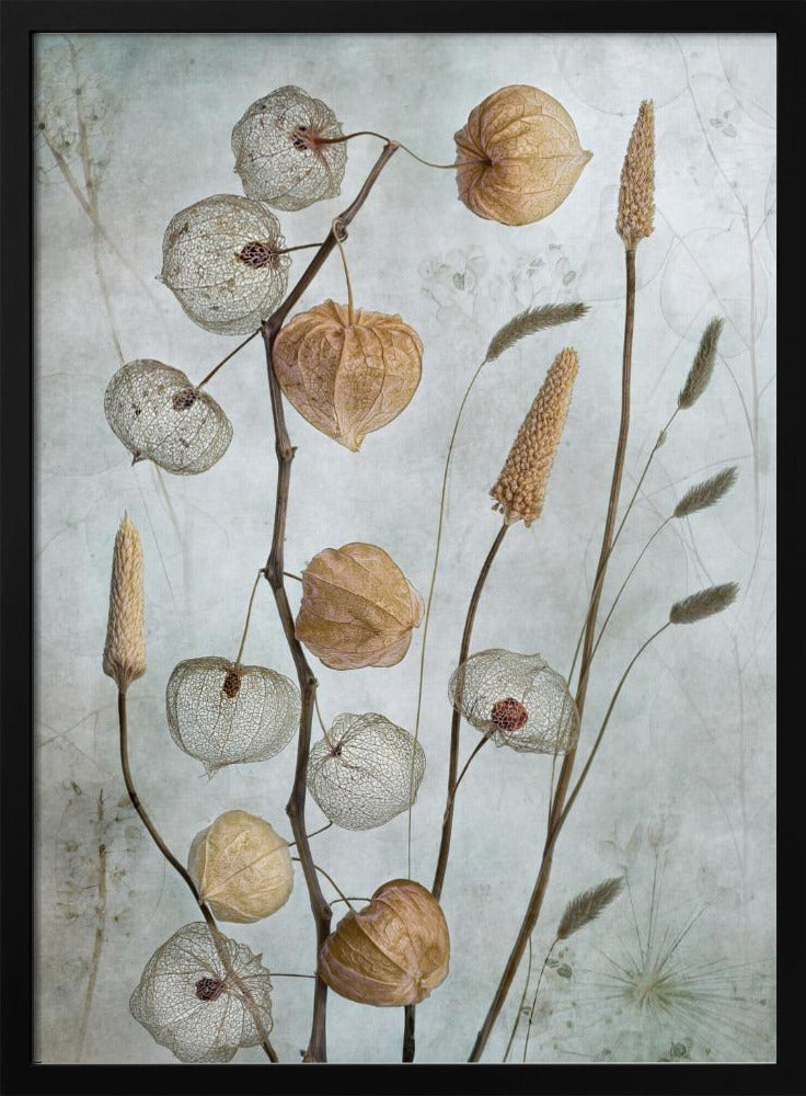 Laternen* | Poster