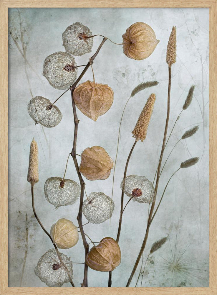 Laternen* | Poster