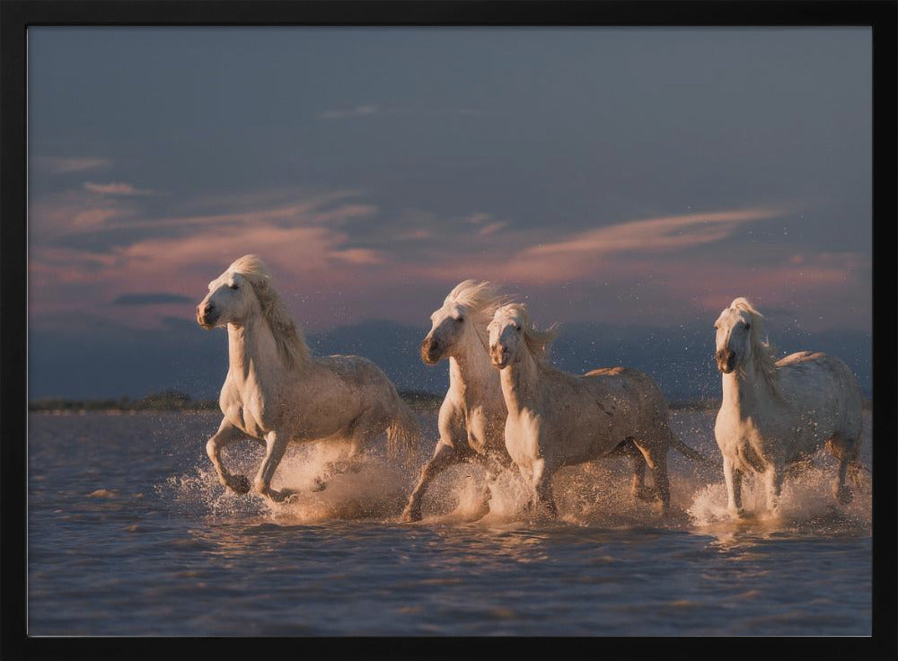 Engel der Camargue | Poster