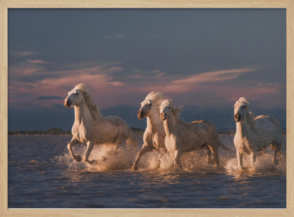 Engel der Camargue | Poster