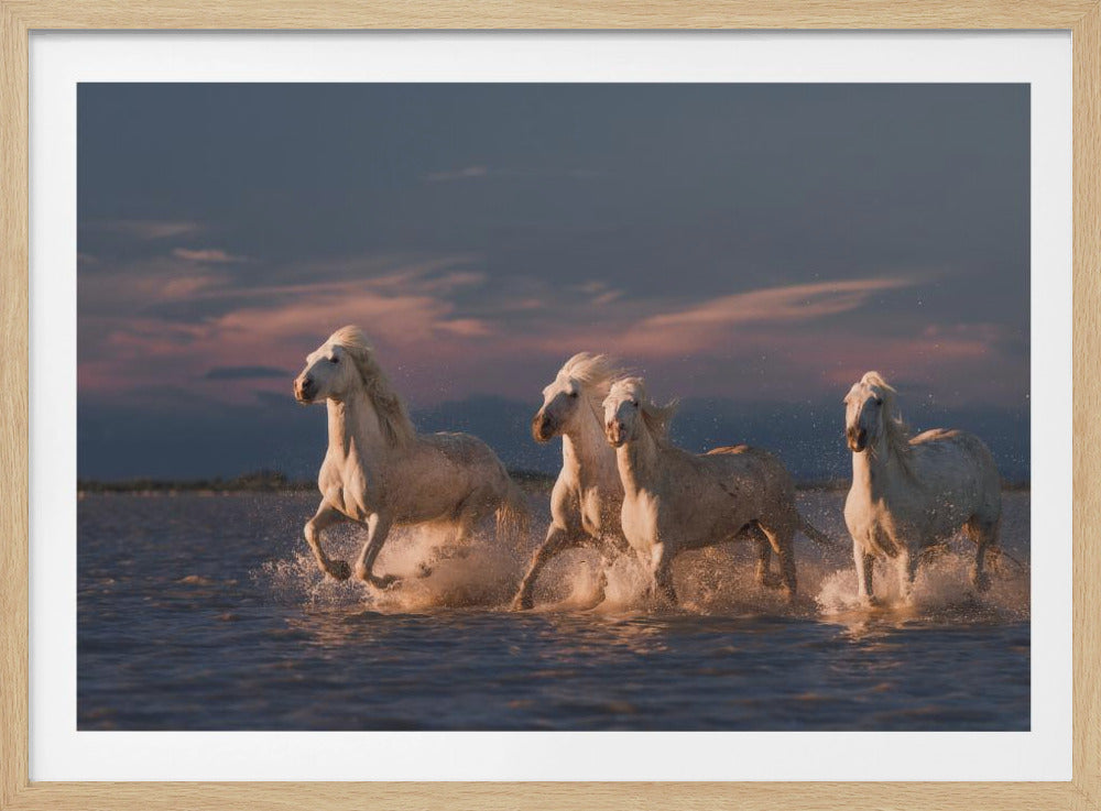Engel der Camargue | Poster
