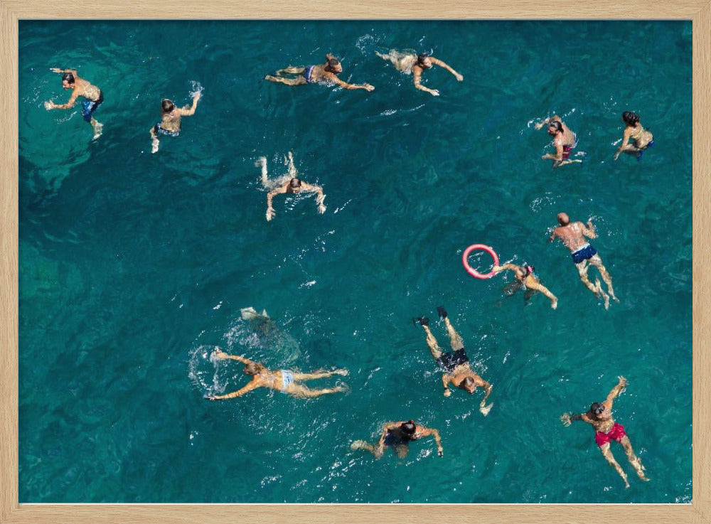 Schwimmen im blauen Wasser | Poster
