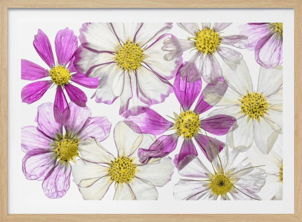 Sommer bewahren | Poster