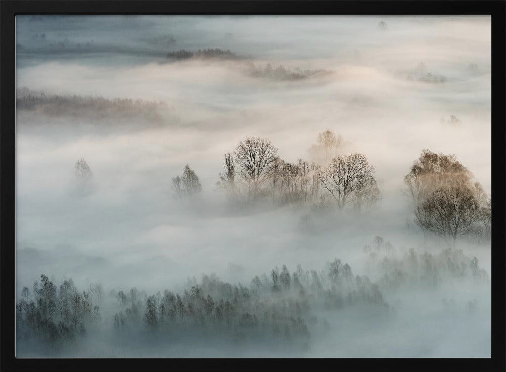 Winternebel | Poster
