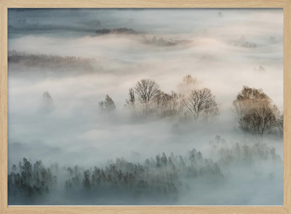 Winternebel | Poster