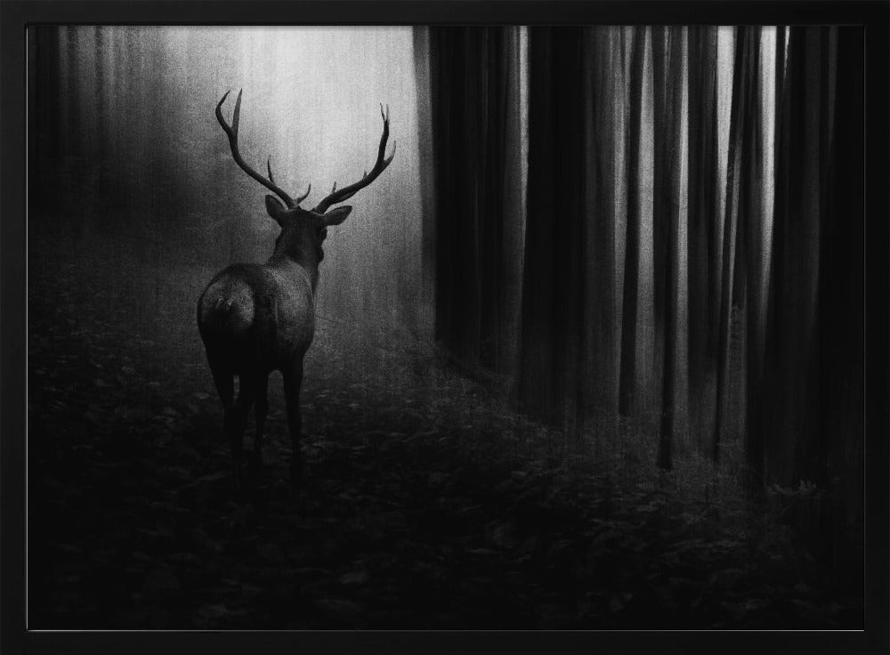 Hirsch | Poster