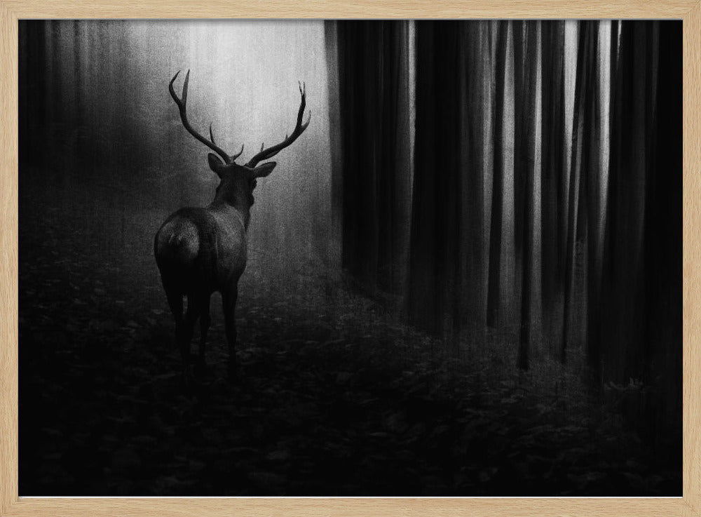 Hirsch | Poster