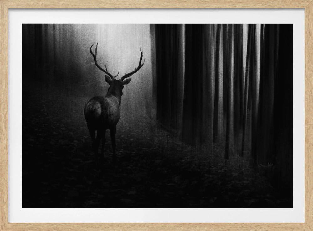 Hirsch | Poster