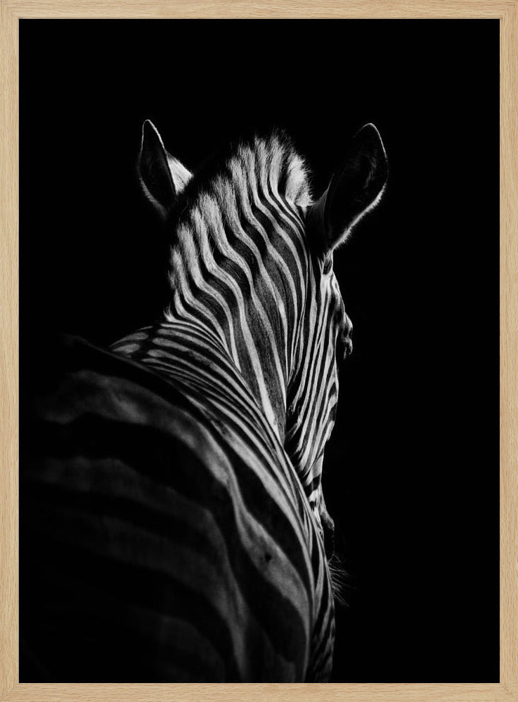 Zurücktreten #6 | Poster