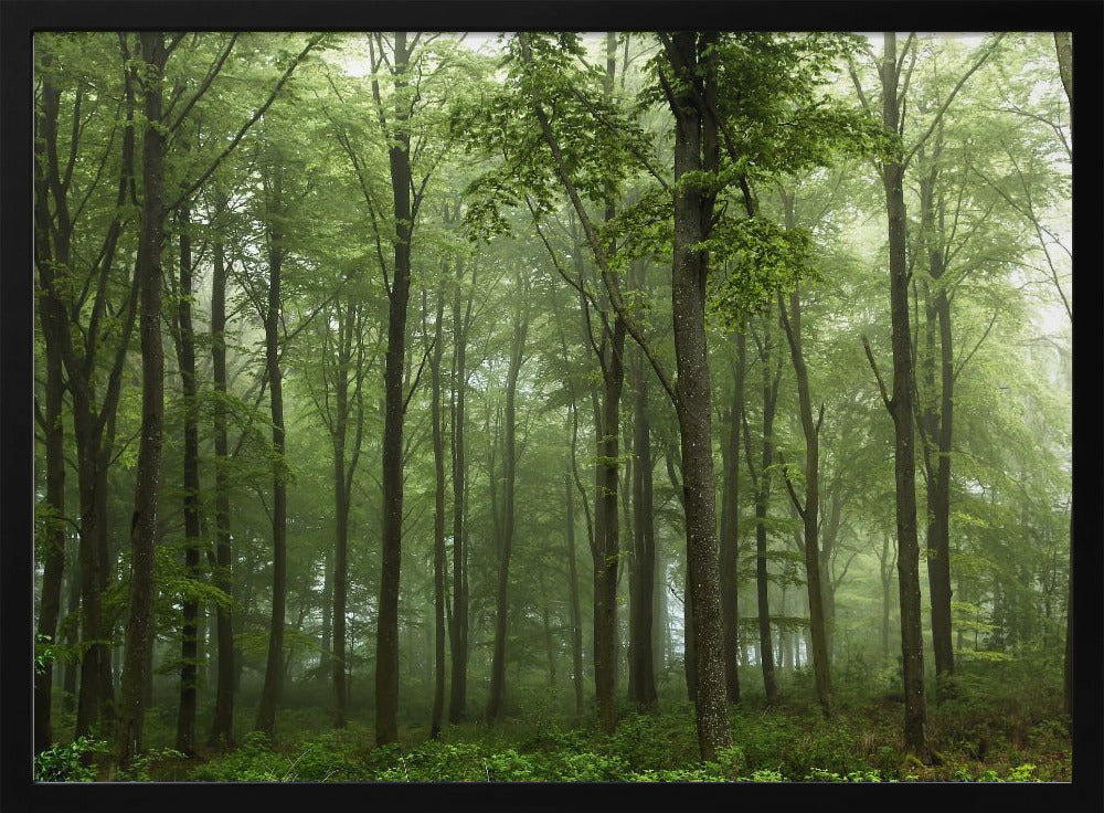 Wald... | Poster