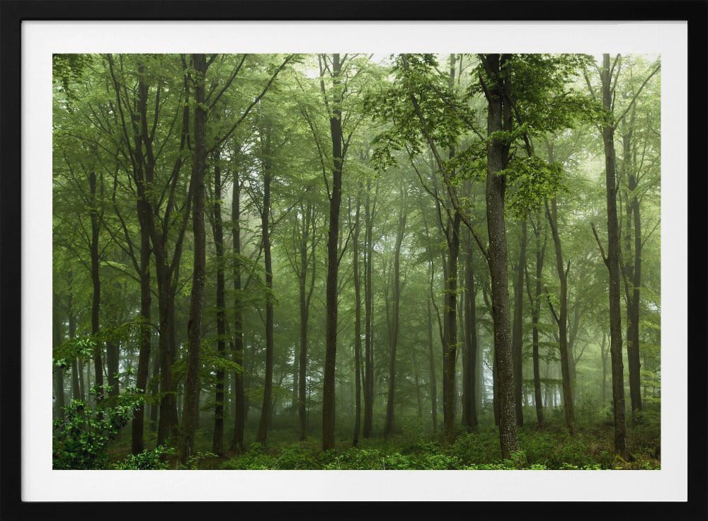 Wald... | Poster