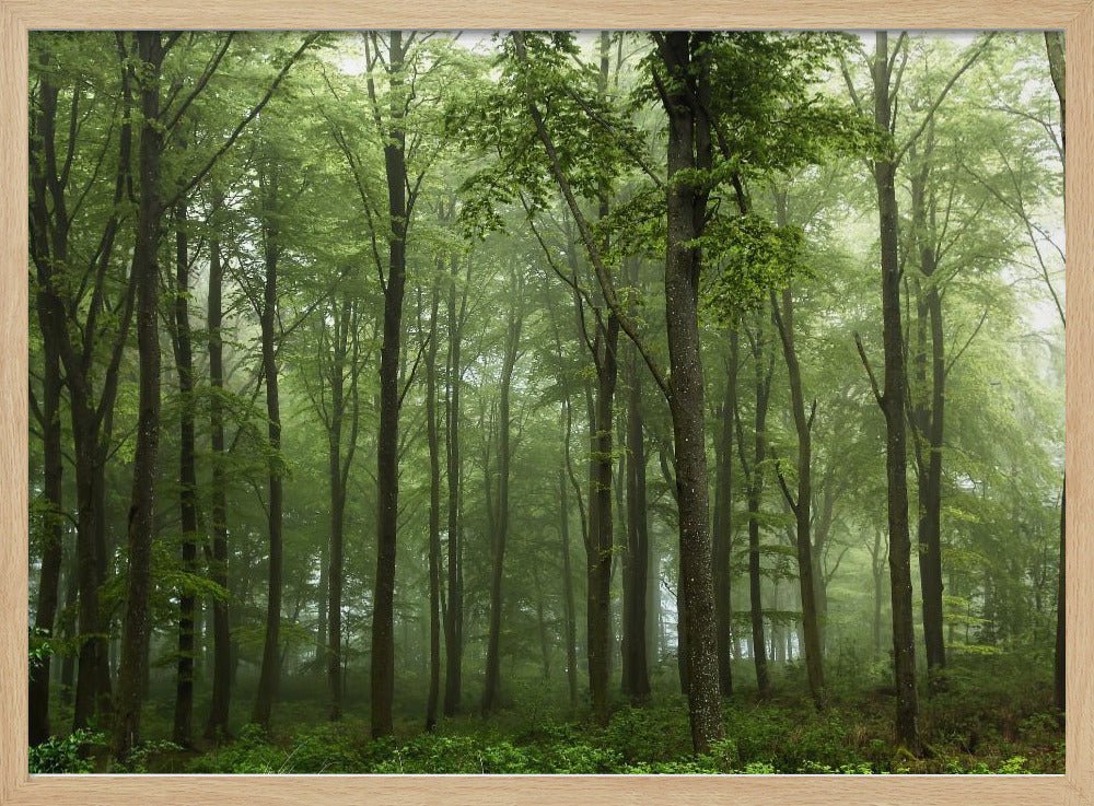 Wald... | Poster
