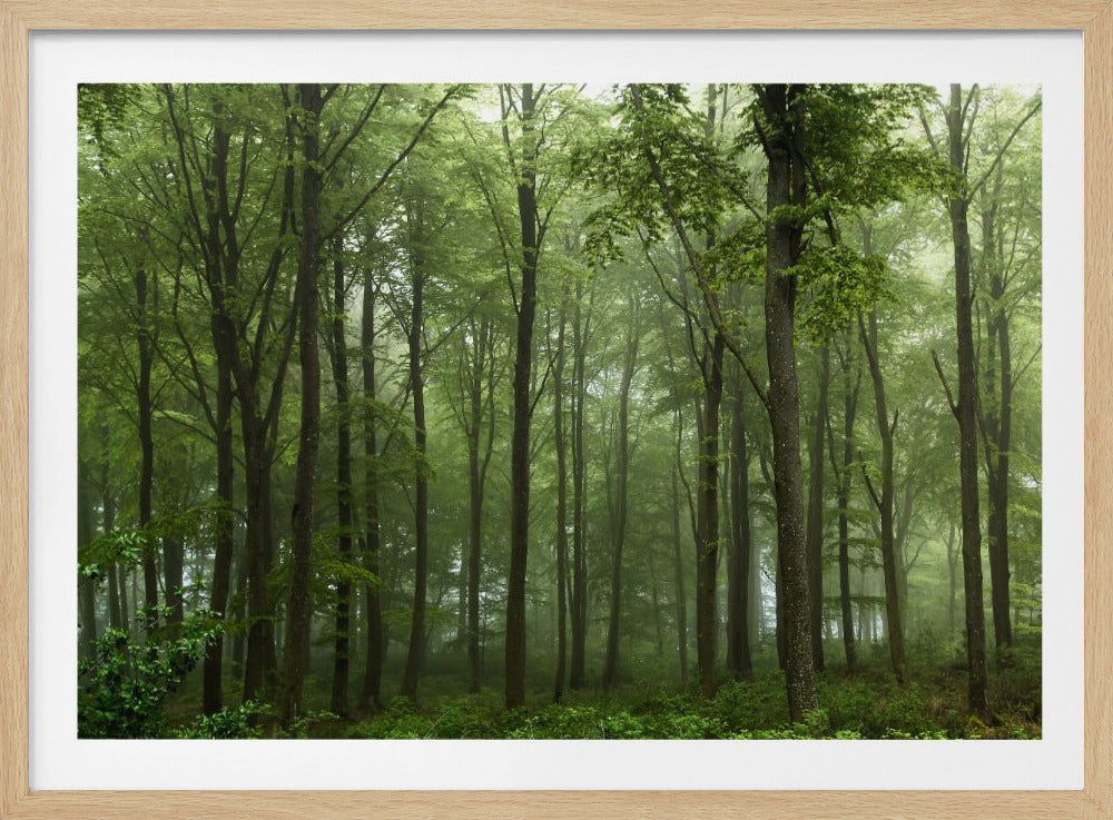 Wald... | Poster