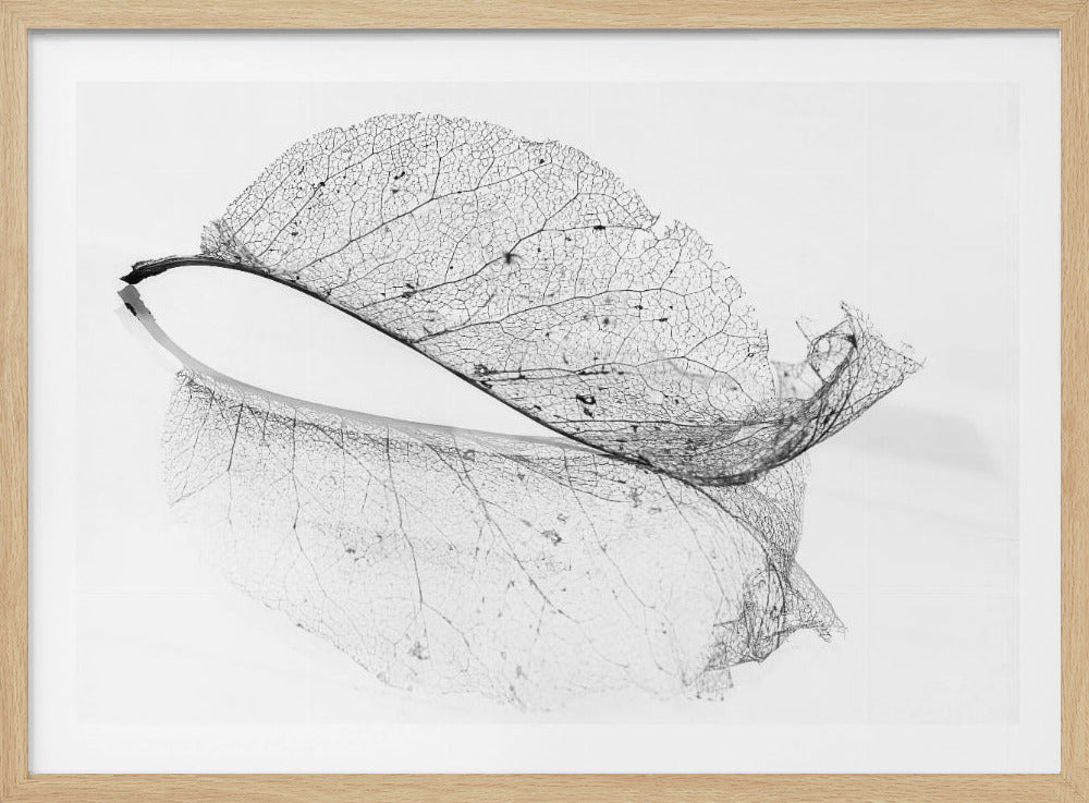 Das alte Blatt | Poster