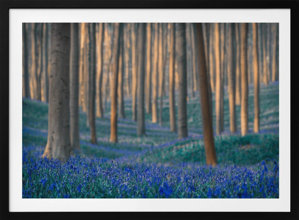 Träume sind aus diesen gemacht | Poster