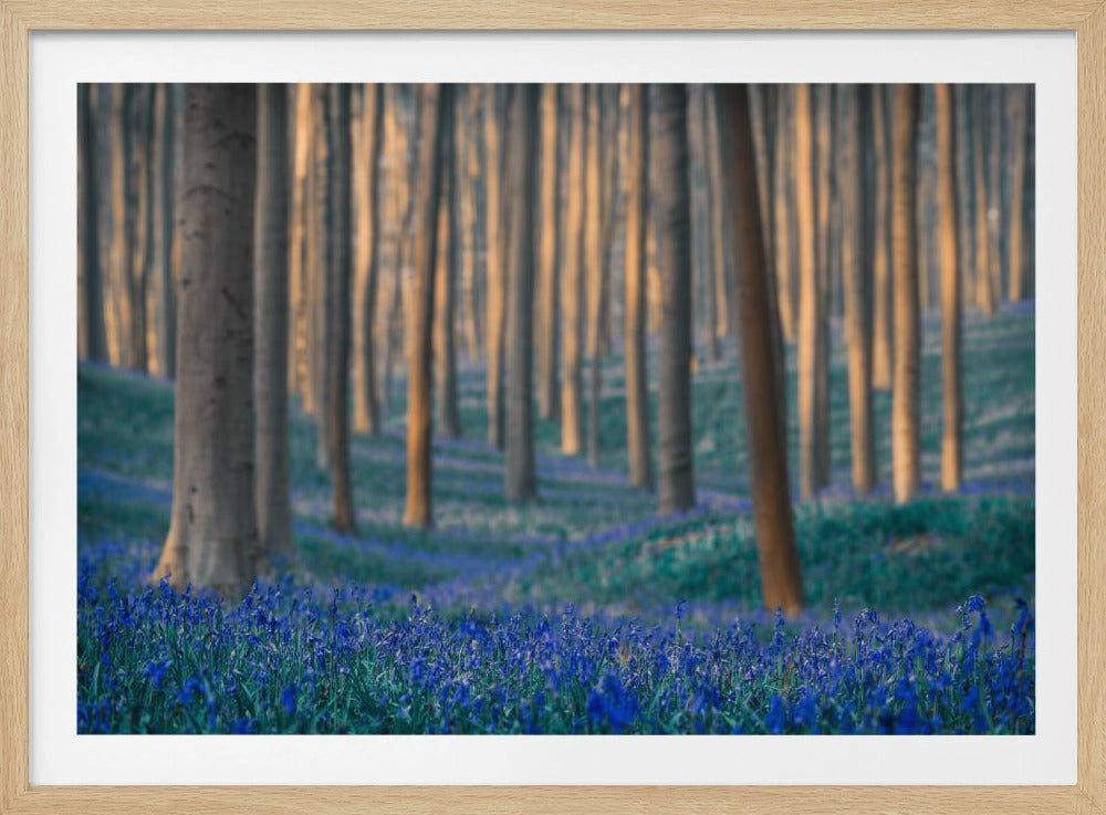 Träume sind aus diesen gemacht | Poster