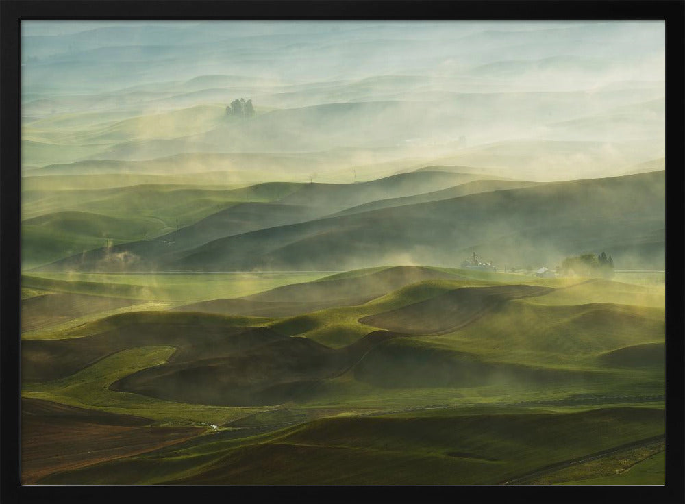 Goldener Morgen - Palouse | Poster