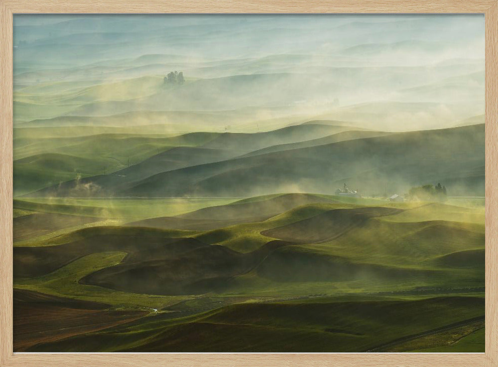 Goldener Morgen - Palouse | Poster