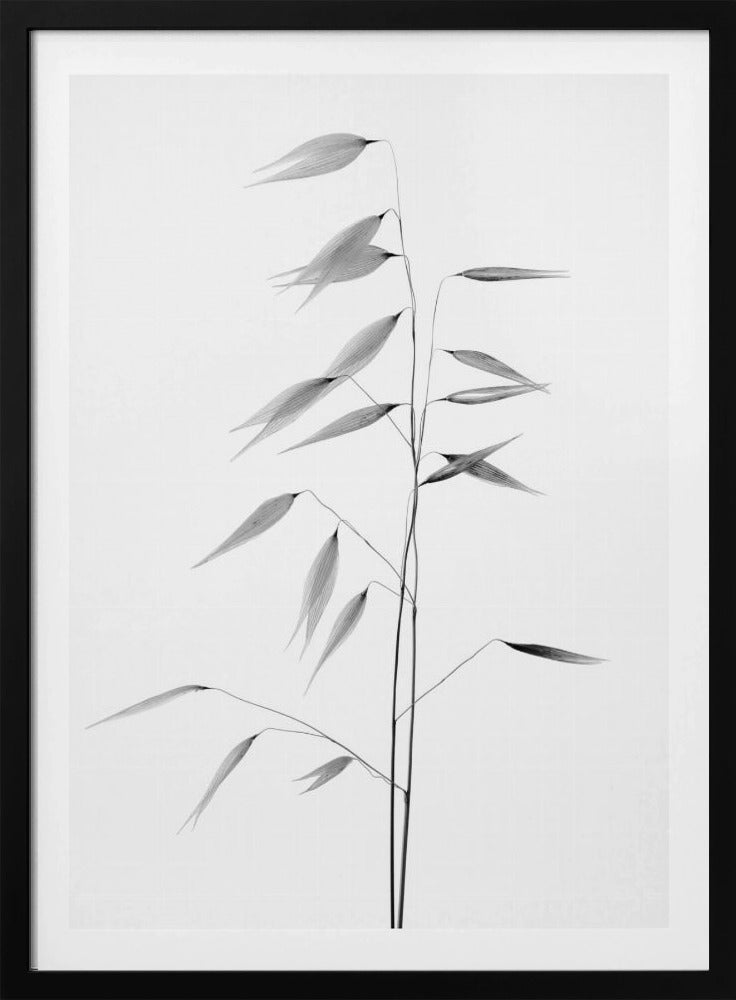 Schärfe der Natur | Poster
