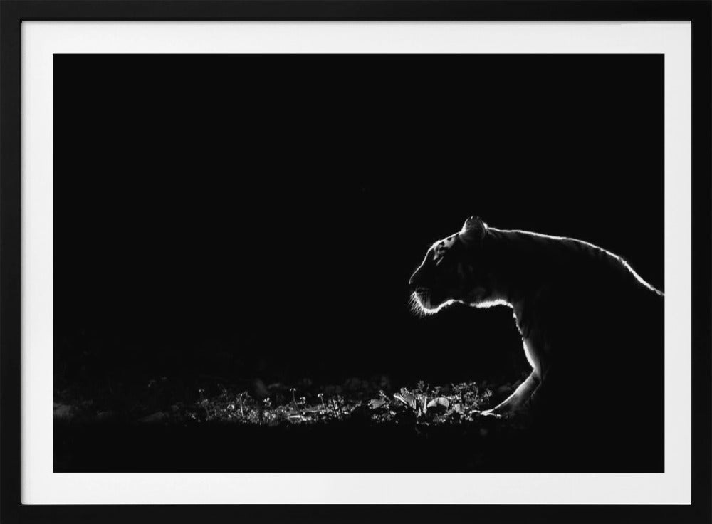 Ohne Titel | Poster