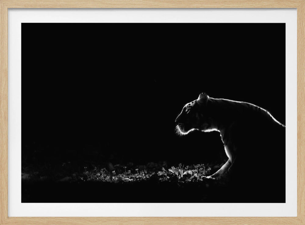 Ohne Titel | Poster