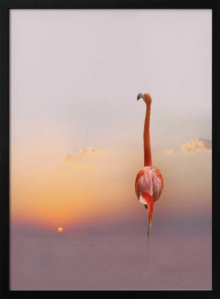Sonnenuntergang ... | Poster