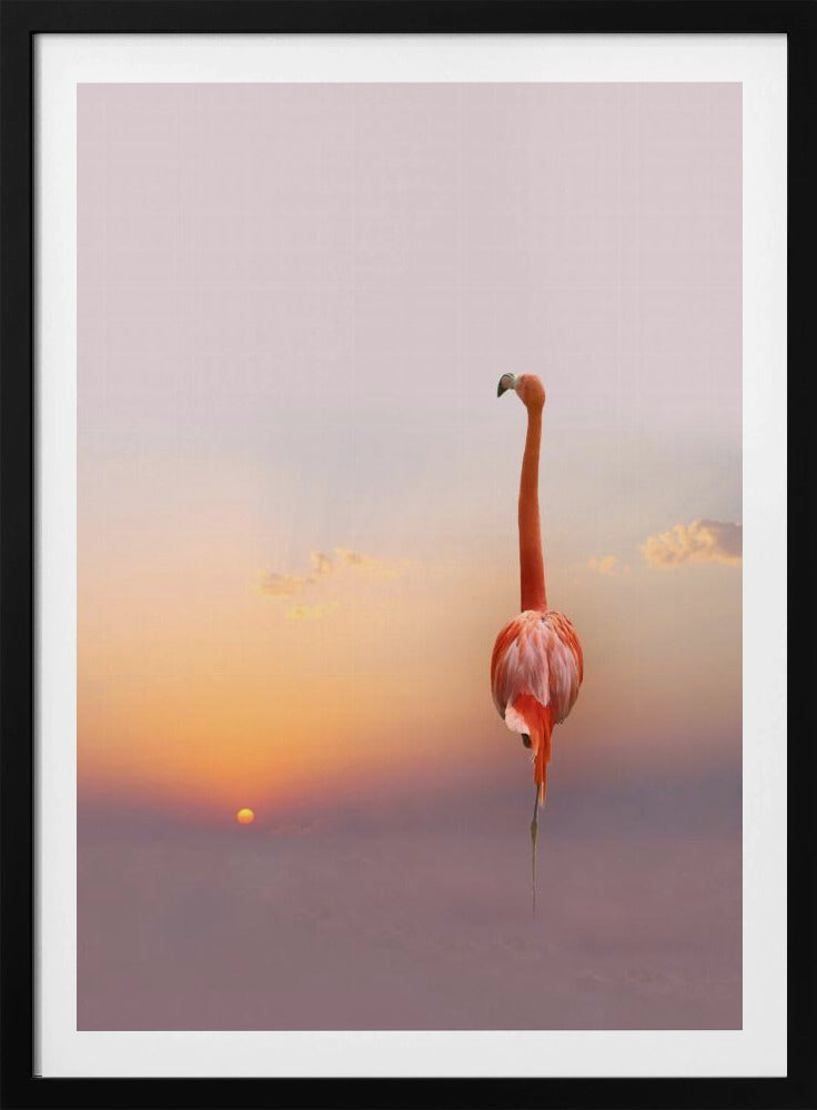Sonnenuntergang ... | Poster