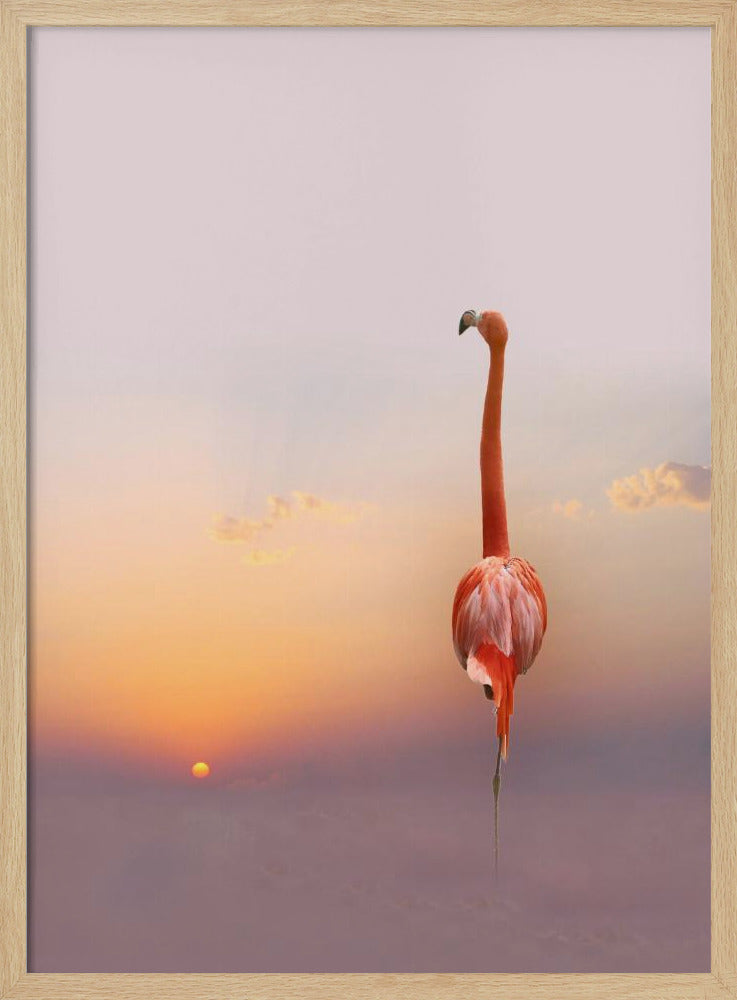 Sonnenuntergang ... | Poster