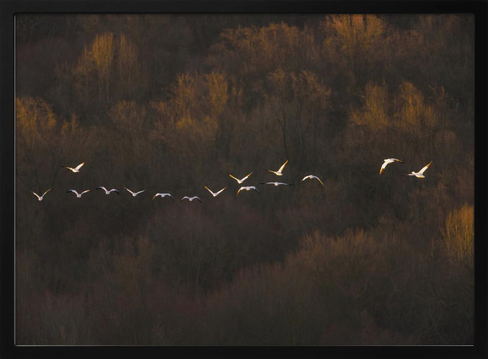 Morgenstimmung | Poster