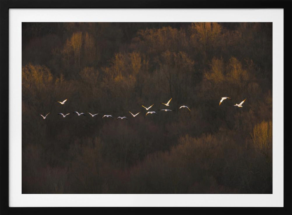 Morgenstimmung | Poster