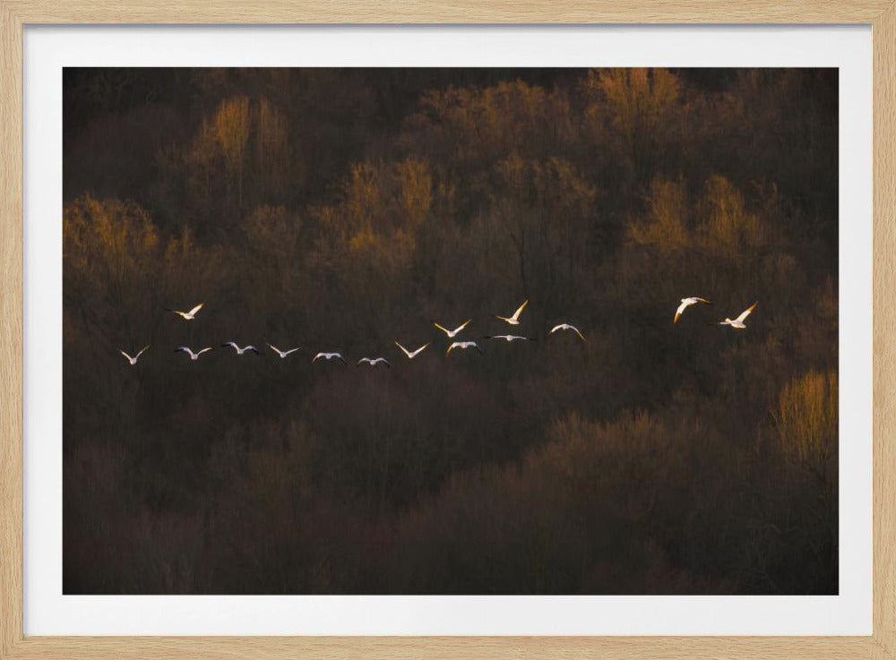 Morgenstimmung | Poster