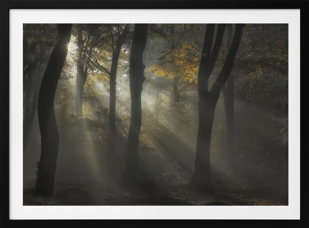 Sonnenstrahl | Poster