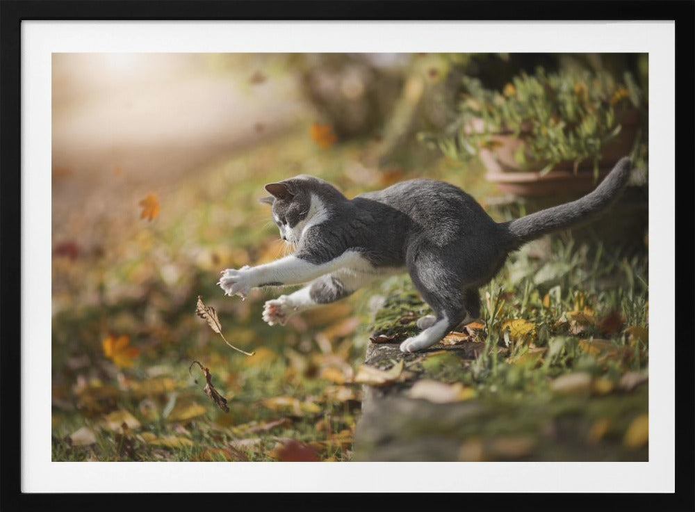 Herbstspiel | Poster