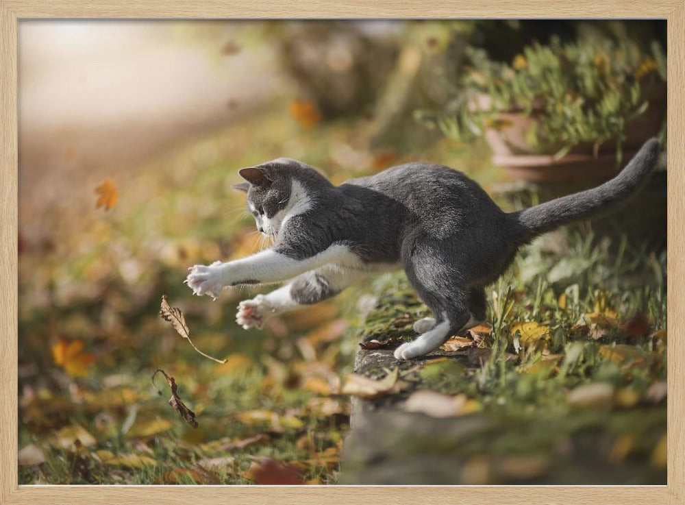 Herbstspiel | Poster