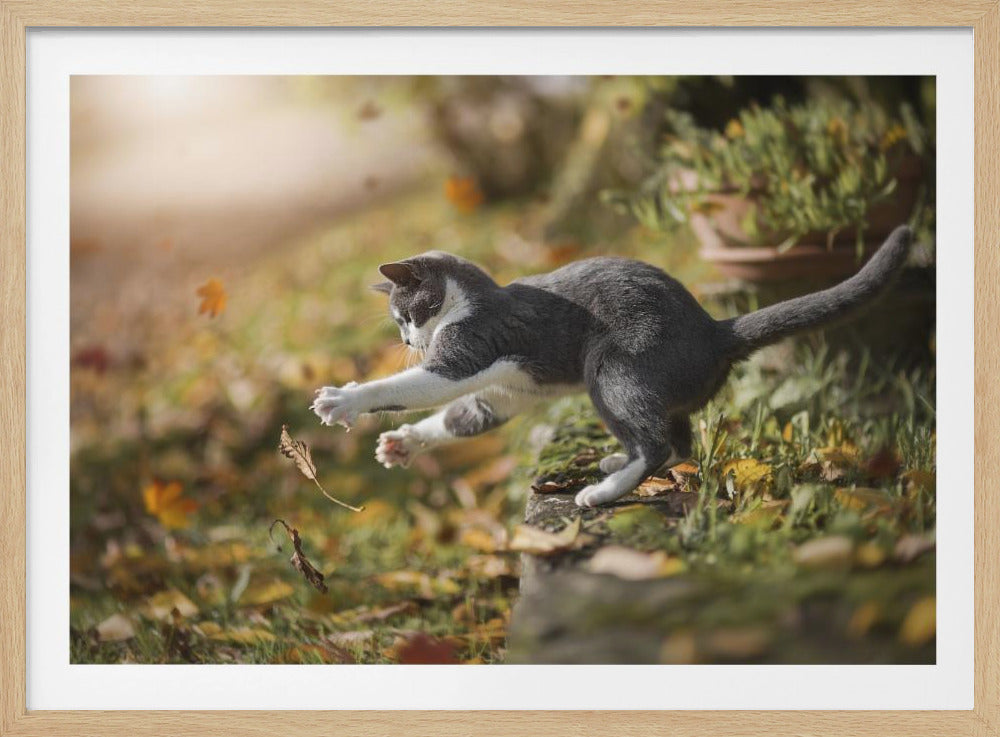 Herbstspiel | Poster