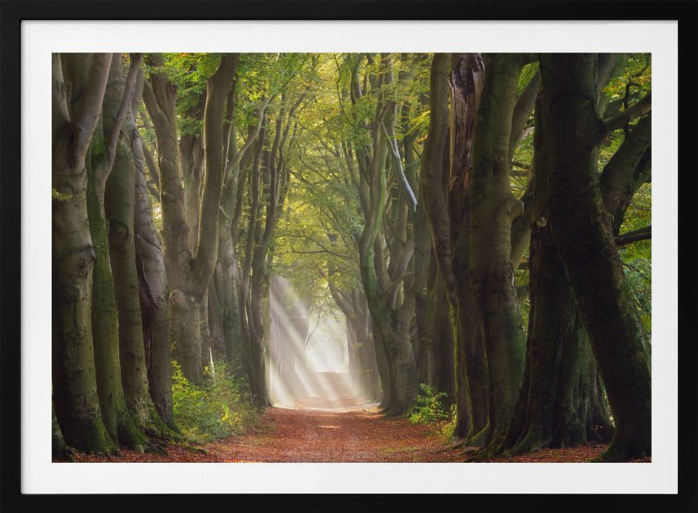 Ein herrlicher Tag | Poster