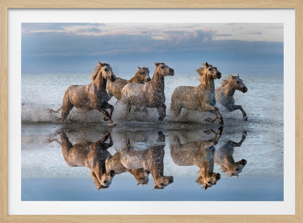 Pferde und Spiegelbild | Poster