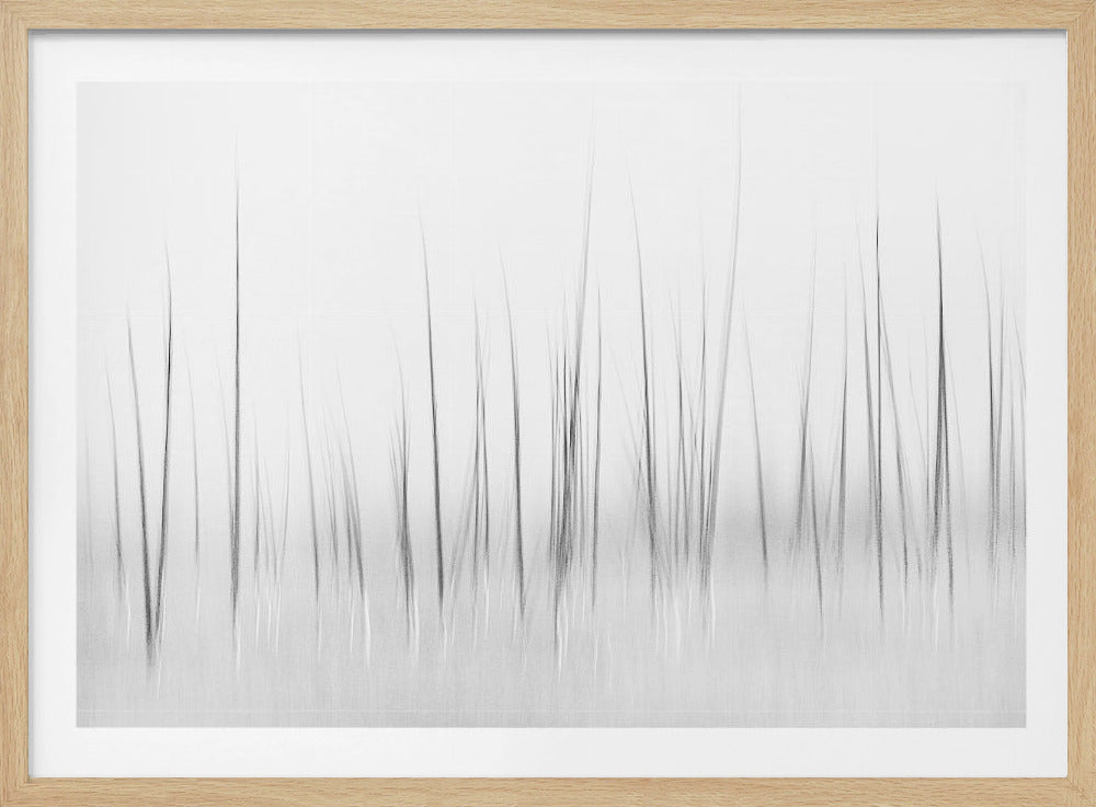 Winterlandschaft im Yellowstone | Poster