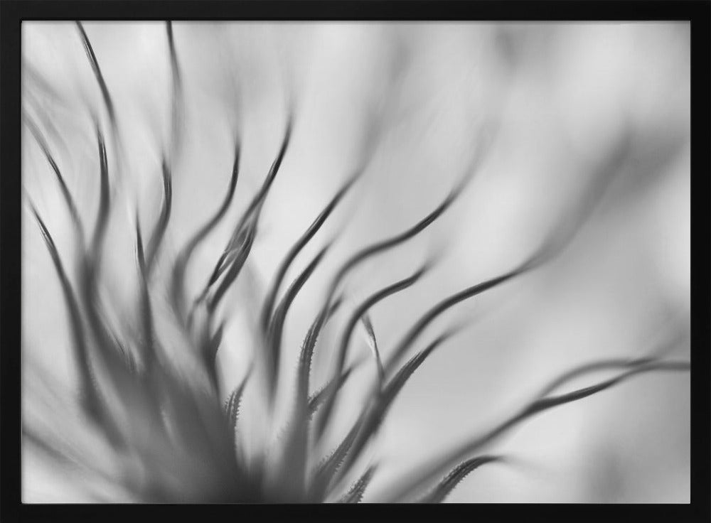 Ohne Titel | Poster