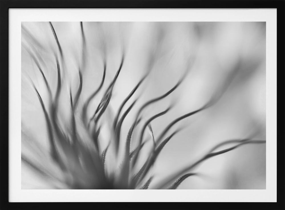 Ohne Titel | Poster