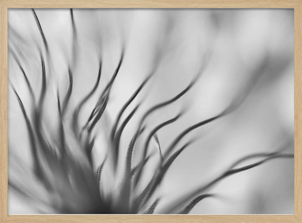 Ohne Titel | Poster