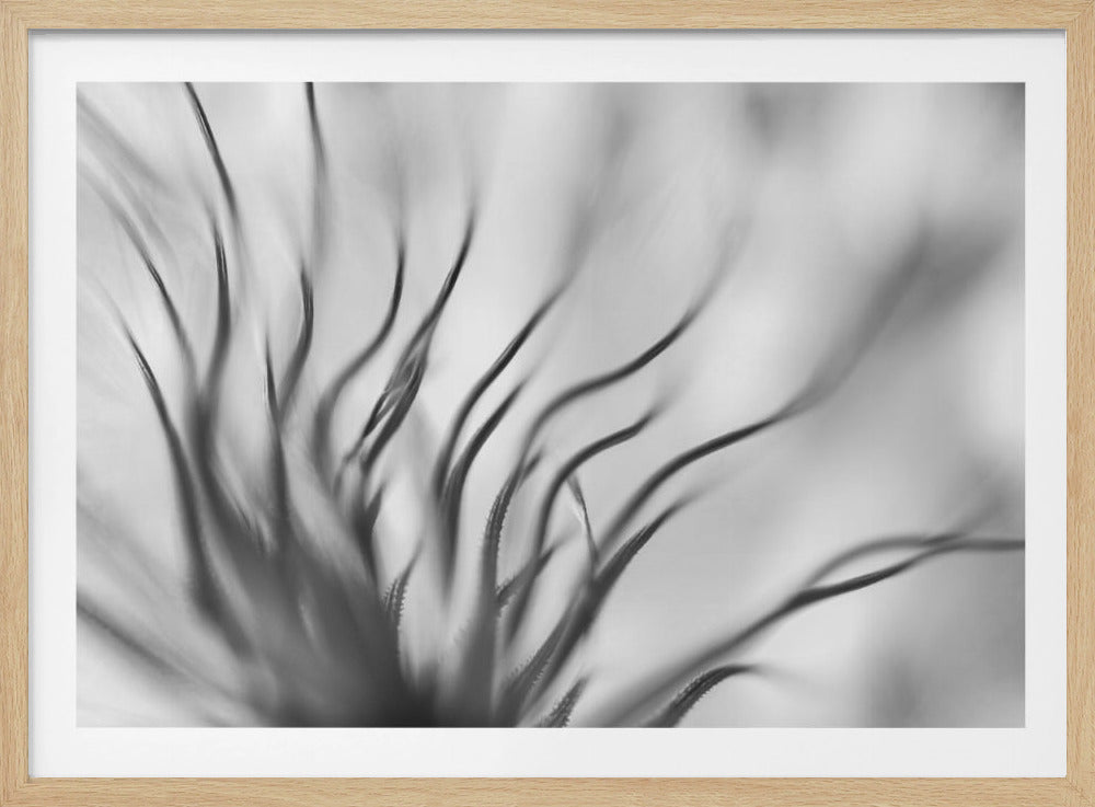 Ohne Titel | Poster